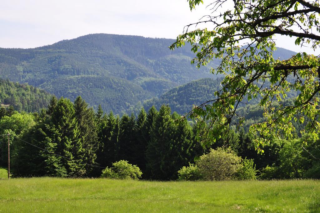 Gite Rammelstein Ribeauvillé Extérieur photo